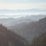 DSC02896