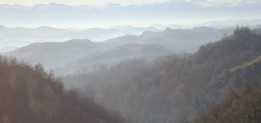 DSC02896
