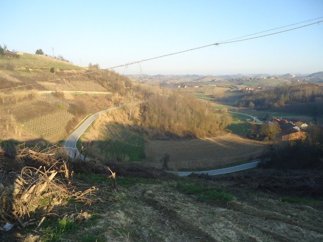 DSC09537-copia