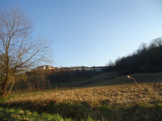 DSC09539-copia
